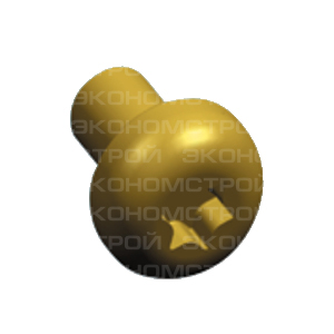 Винт М6х10 (Torx 30) (упаковка 500 шт) (RZ12P500)